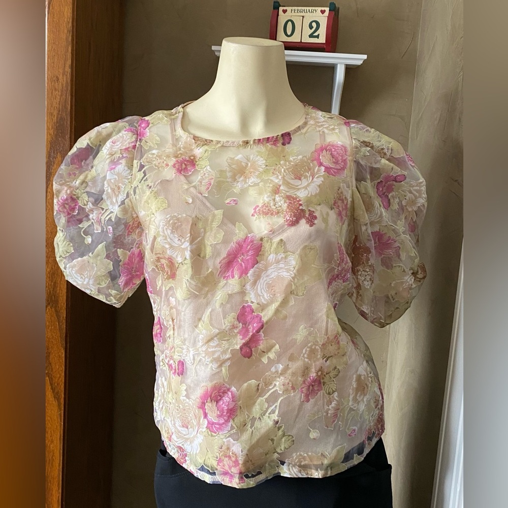 Peach Sheer Floral Organza Boohoo Floral Blouse Top - Pink and Cream